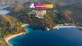 D Maris Bay
