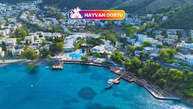 Labranda Tmt Bodrum Resort