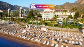 Martı La Perla(+16)
