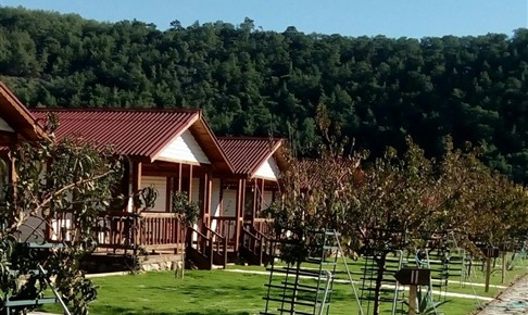 Fesleğenbükü Kamp Muğla Milas Kuyucak