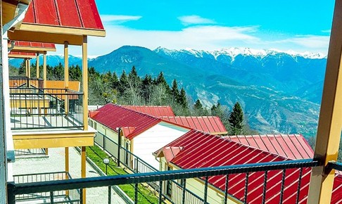 Koliva Hotel Artvin Kafkasör Artvin Çamlık