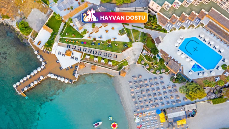 Design Plus Seya Beach Hotel İzmir Çeşme Alaçatı