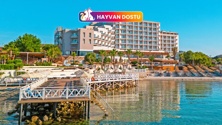 Design Plus Seya Beach Hotel İzmir Çeşme Alaçatı