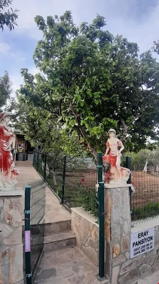 Eray Konaklama Çanakkale Gökçeada Eşelek Köyü