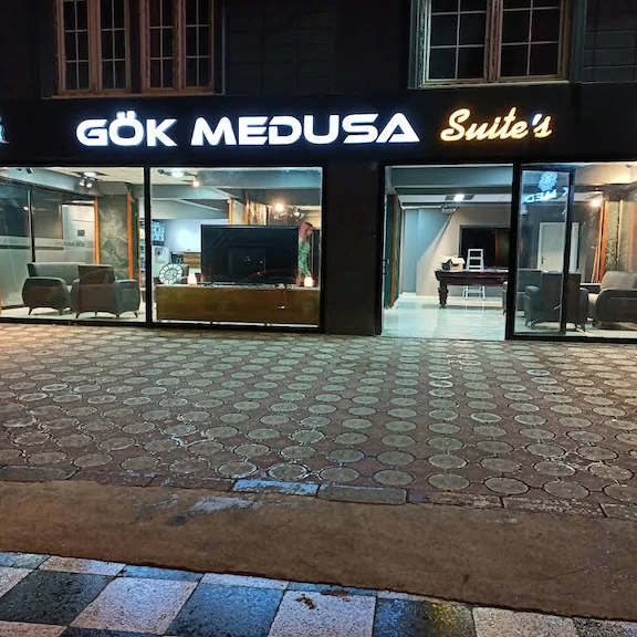 Gök Medusa Tokat Tokat Merkez Karşıyaka