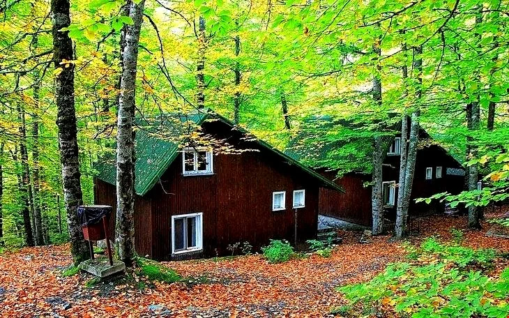 Habitat Mesire Yerleri Bolu Bolu Merkez Bolu Yeşilköy