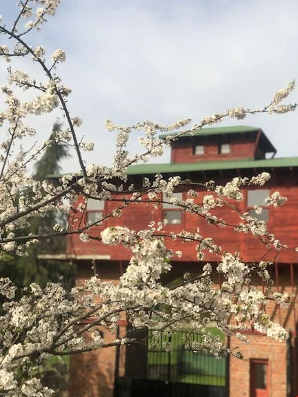 Hermes Country Club İstanbul Beykoz Mahmutşevketpaşa