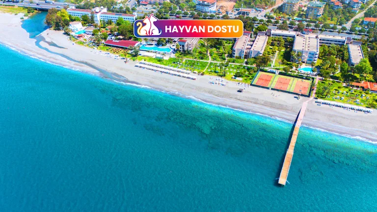 Labranda Alantur Resort Antalya Alanya Alanya Merkez
