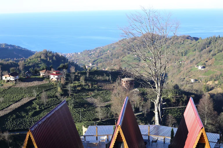 Pagen Bungalov Artvin Hopa Pınarlı