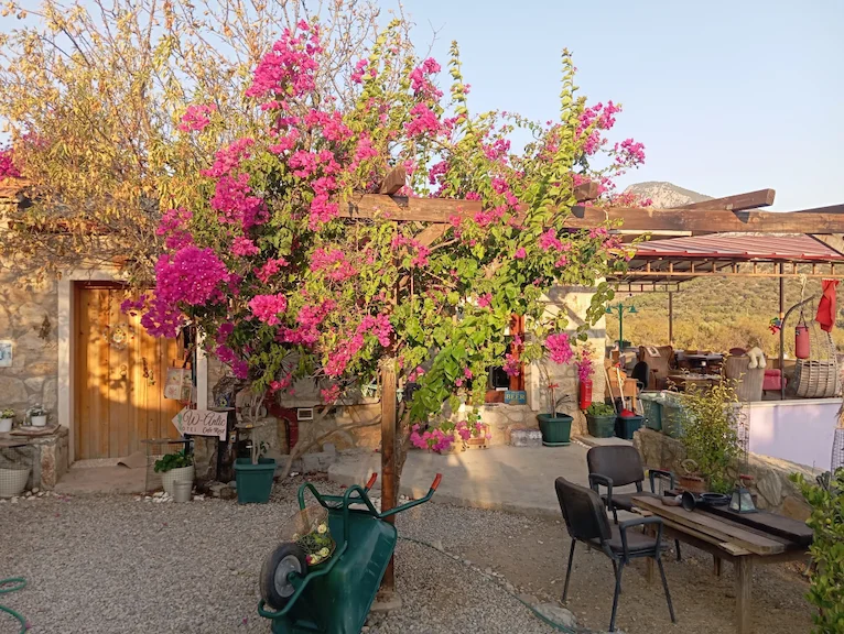 W. Antic Pansiyon Muğla Datça Hızırşah Mah