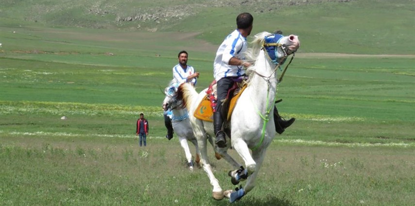 Doğunun Taşevleri Kars Selim 