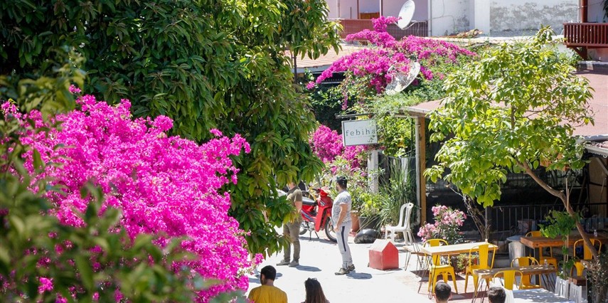 Limon Otel Akyaka Muğla Ula 