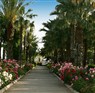 Adora Resort Hotel Antalya Belek 