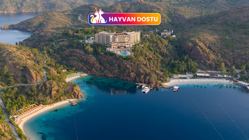 D Maris Bay