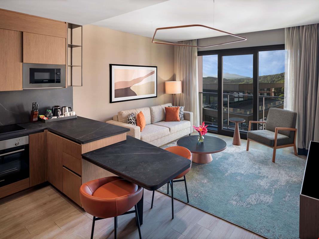 Superior One Bedroom Apartment King