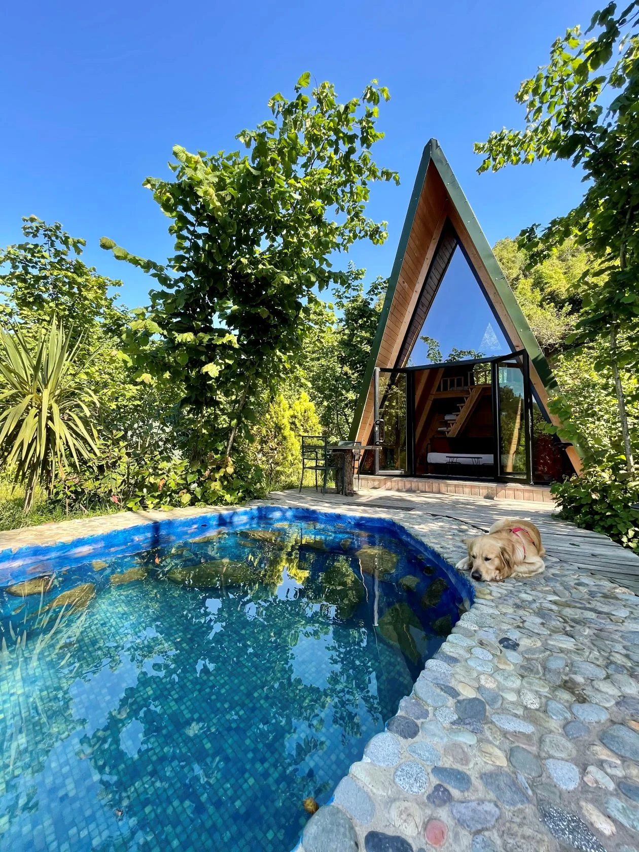 Bungalov, Havuz Manzaralı