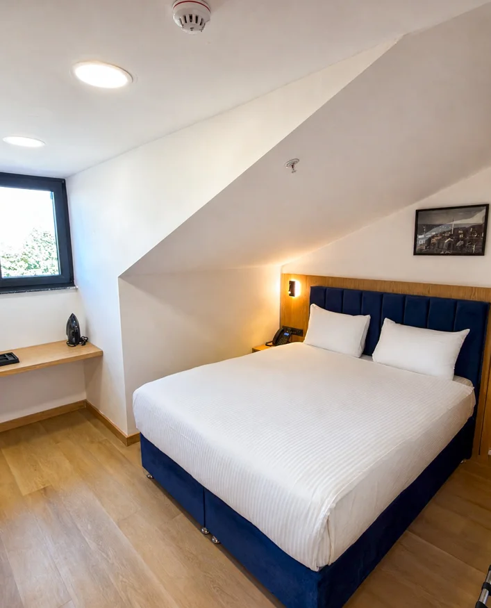Deluxe Roof Room