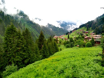 1 Mayıs Özel Uçaklı Batum Ayder Uzungöl Turu / 2 Gece Otel Konaklaması
