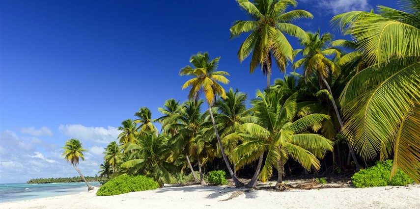 Tropik Cennet Dominik Turu Air France Hava Yolları ile
