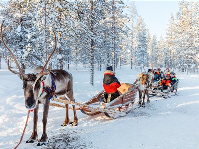 Büyüleyici Kuzey Işıkları & Lapland Turu 4 Gece 5 Gün Ekstralar Dahil TCR001