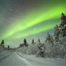 Lapland Turu / Kuzey Finlandiya THY ile