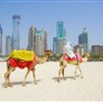 Dubai Turu / Kurban bayramı Özel / Air Arabia Havayolları İle