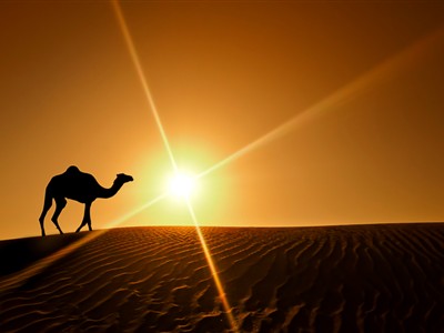 Fırsat Dubai Turu Şehir Turu Ve Abra Geçiş Dahil 3 Gece 6 Gün Sömestre Özel OUT001