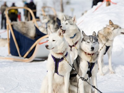 Kuzey Işıkları Rusya Lapland Turu Türk Havayolları ile 8 Gece 9 Gün EJ001