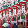 Japonya - Kore Turu Sakura Dönemi