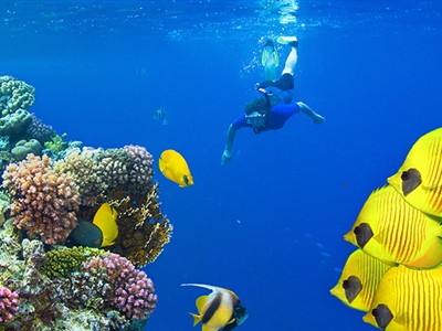 Sharm El Sheikh Turu Ajet Havayolları ile 5 Gece Her Şey Dahil 5 Yıldızlı Oteller