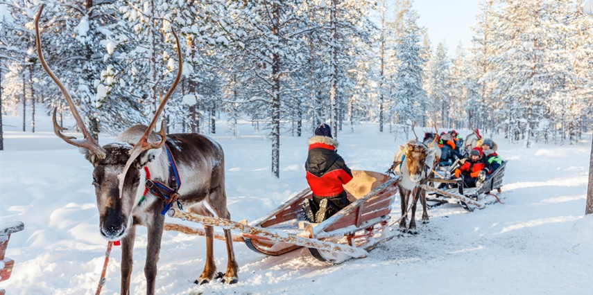 Lapland - Kuzey Işıkları Turları